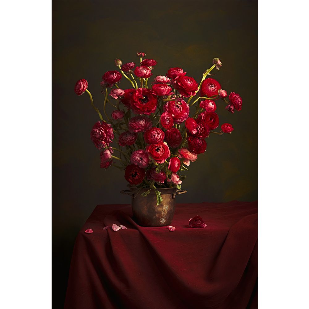 Wall Art Still Life 736 21/50