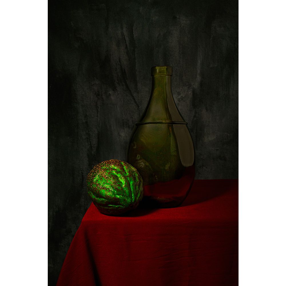 Wall Art Still Life 934 21/50